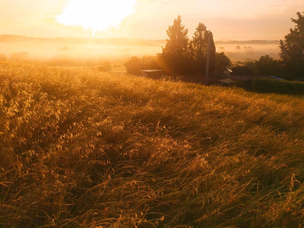 Dago Farmhouse Сиена Экстерьер фото